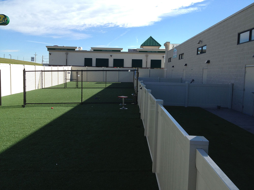 Mobile Pet Spa Omaha Gallery and Client Testimonials Country