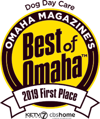 Dog Day Care 1st Place Best of Omaha 2019