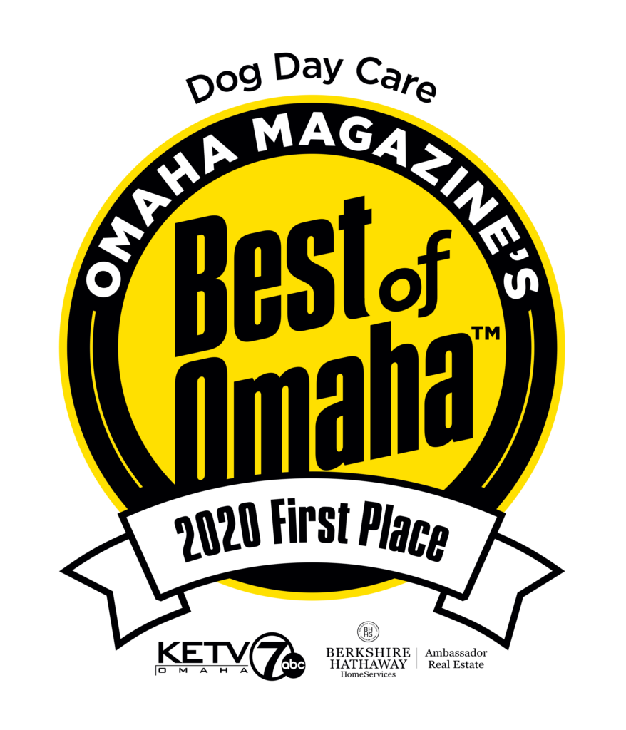 Best of Omaha for Dog Day Care 2020