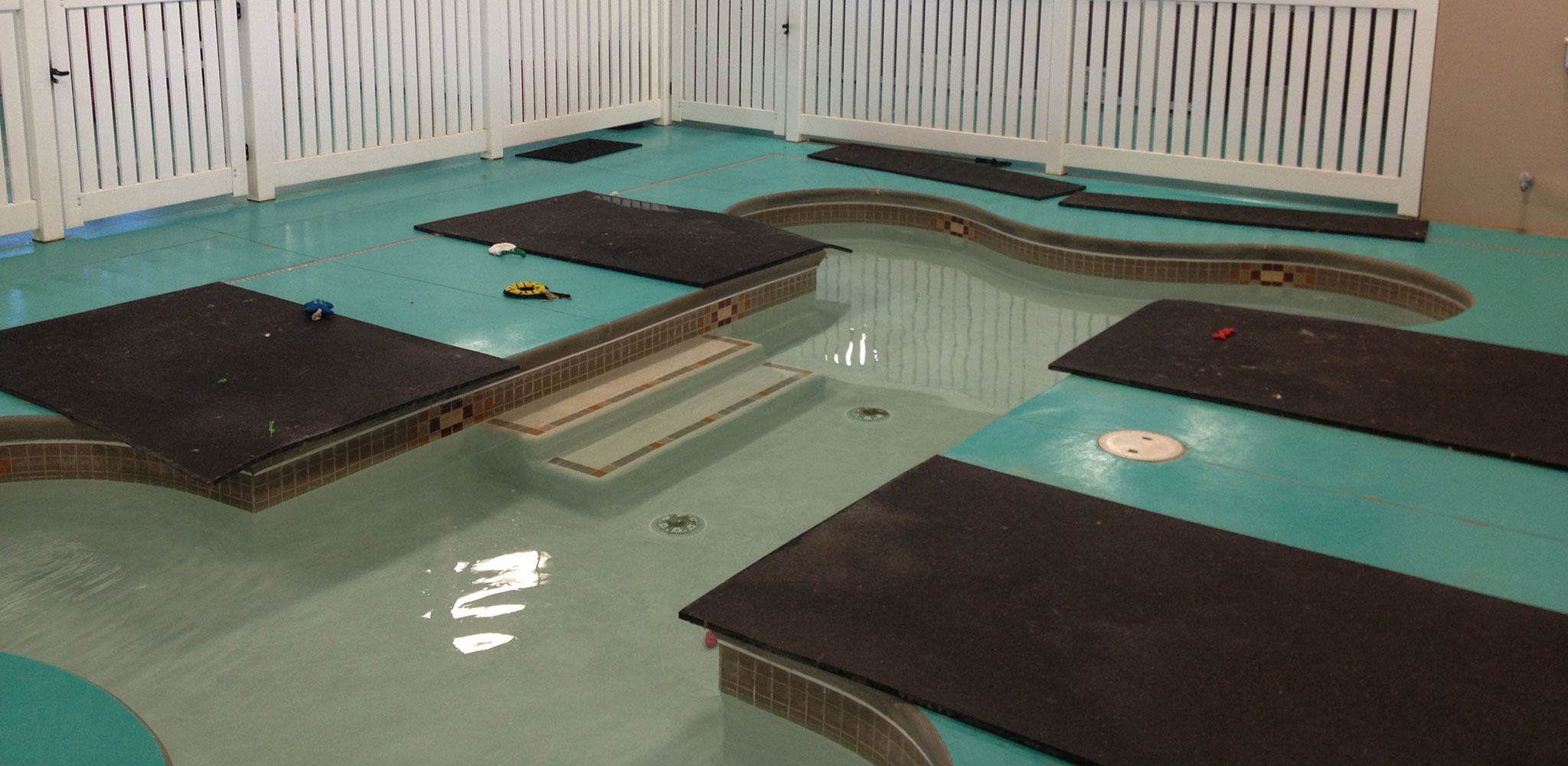 Pets in Omaha's Pet Partner Spotlight The Paw Spa Pet Resort