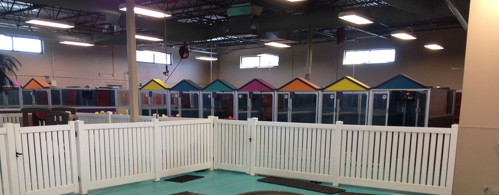 The Paw Spa Pet Resort pet boarding